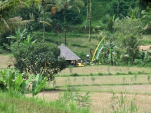 Einstiegspunkt Telaga waja Einstiegspunkt Telaga waja